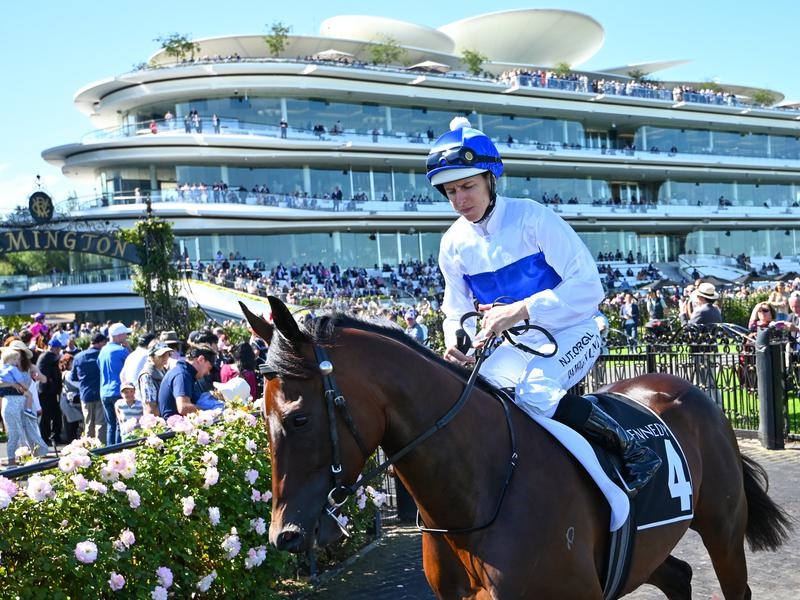 Catalyst sent to vet with back issues | Just Horse Racing