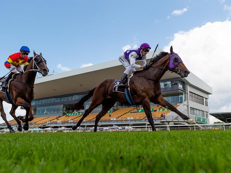 Gallops Eric | Just Horse Racing