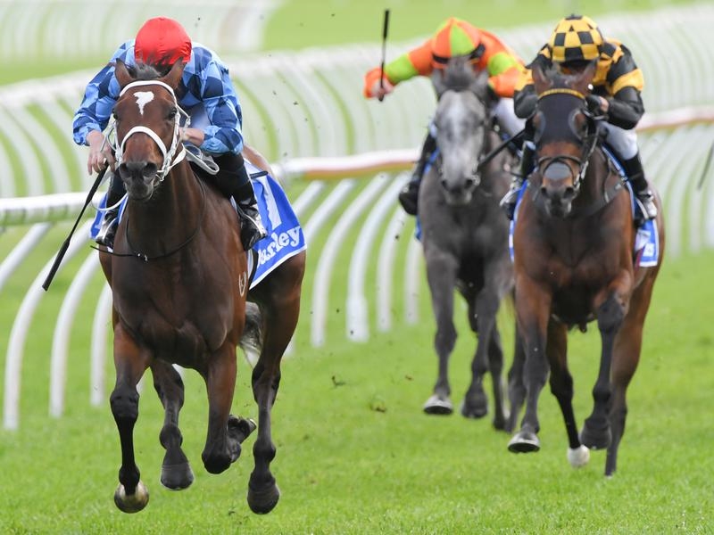 Gallops Funstar | Just Horse Racing