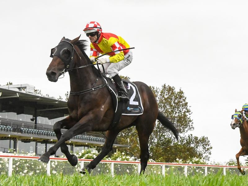 Gallops Glenfiddich | Just Horse Racing