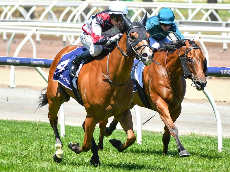 Gallops Newmarket | Just Horse Racing