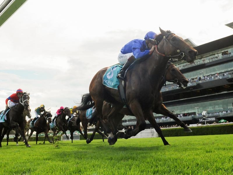 Gallops Randwick | Just Horse Racing