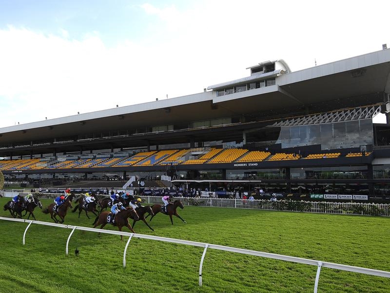 Gallops Virus | Just Horse Racing