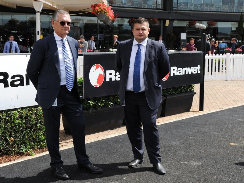Gallops Virus NSW | Just Horse Racing