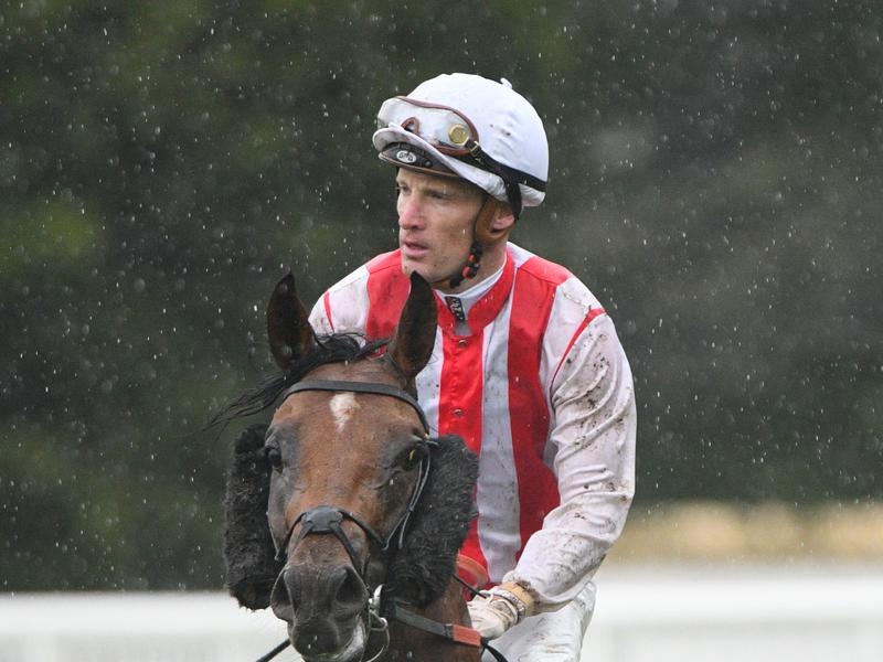 Gallops Virus Zahra | Just Horse Racing