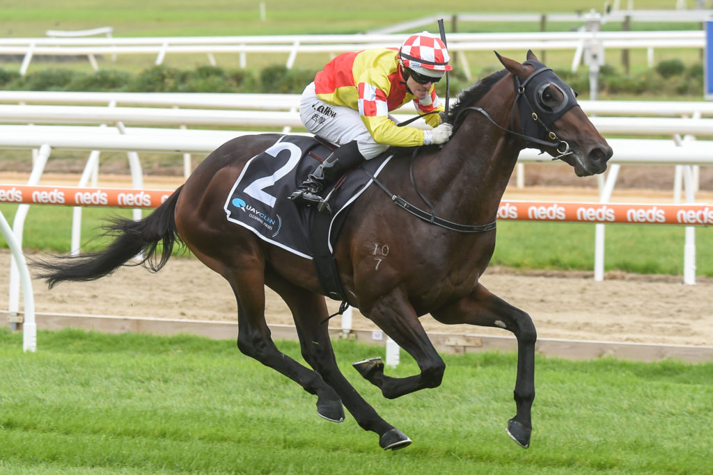 /r1/ | Just Horse Racing