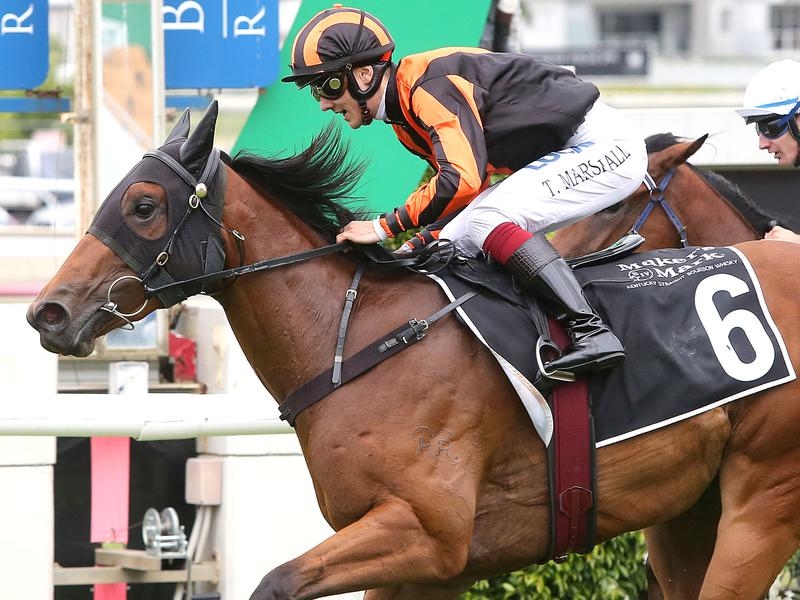 Gold Coast Five | Just Horse Racing