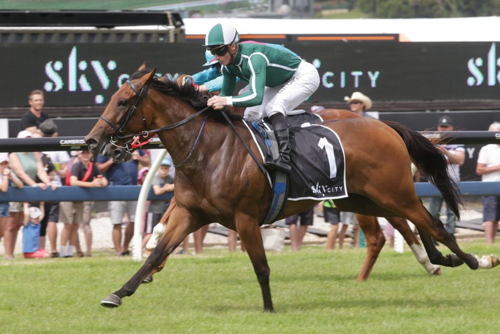 Jennifer Eccles | Just Horse Racing