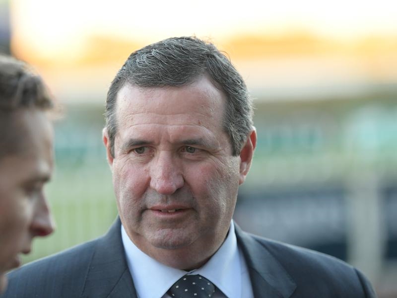 Mornington Hareeba | Just Horse Racing