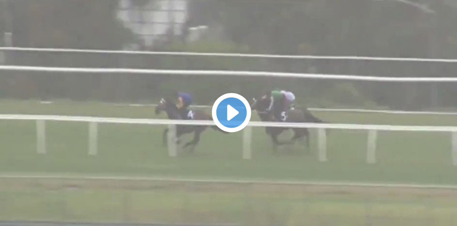 Mystic Journey second in Hobart trial | Just Horse Racing