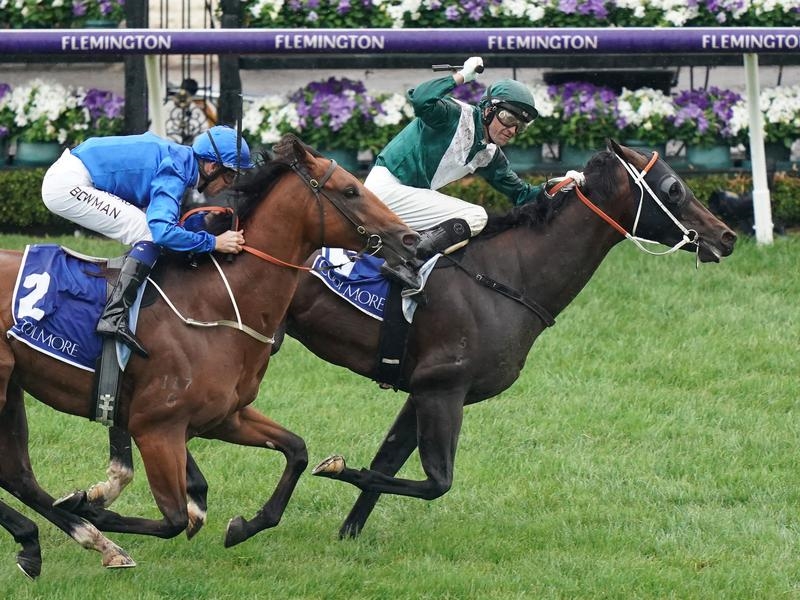Newmarket Preview | Just Horse Racing