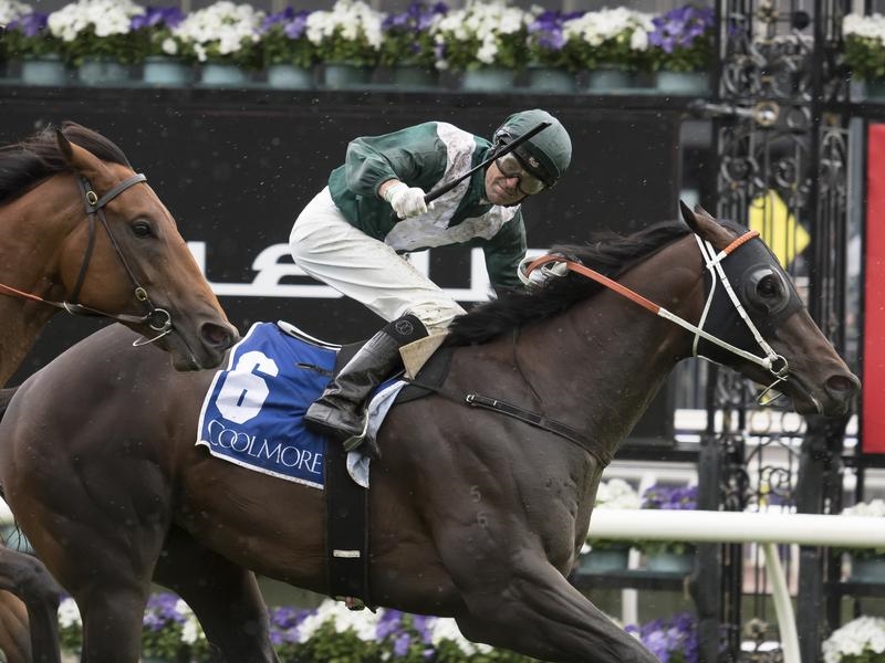 Newmarket Preview | Just Horse Racing