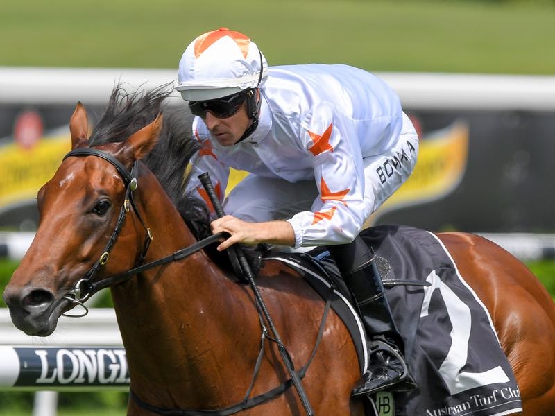 Randwick Farnan | Just Horse Racing