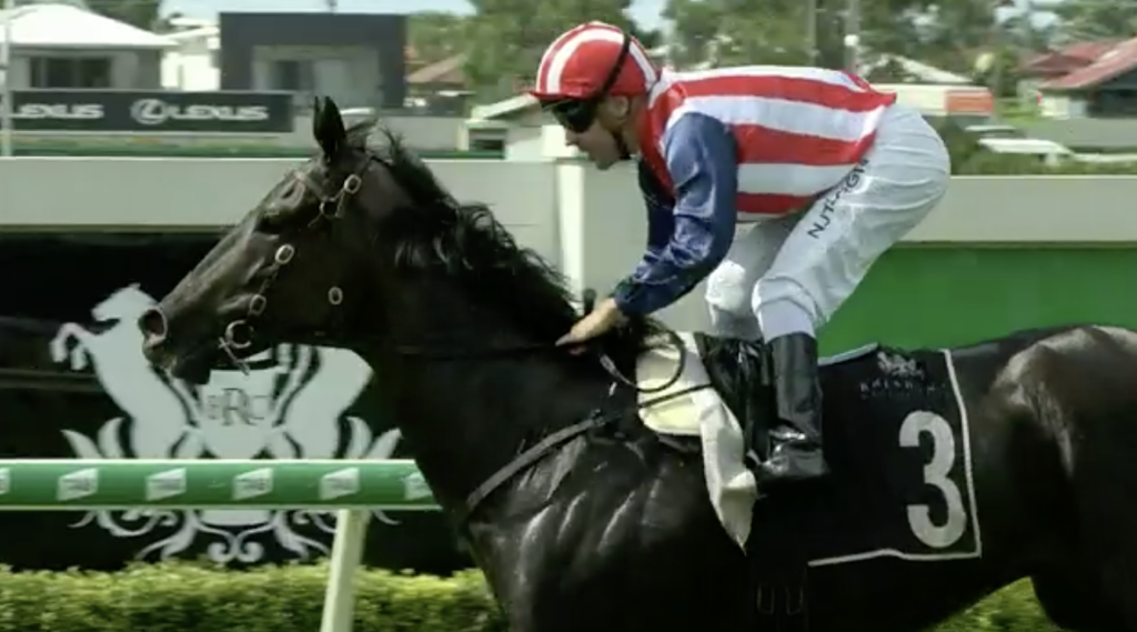 Roman Republic | Just Horse Racing