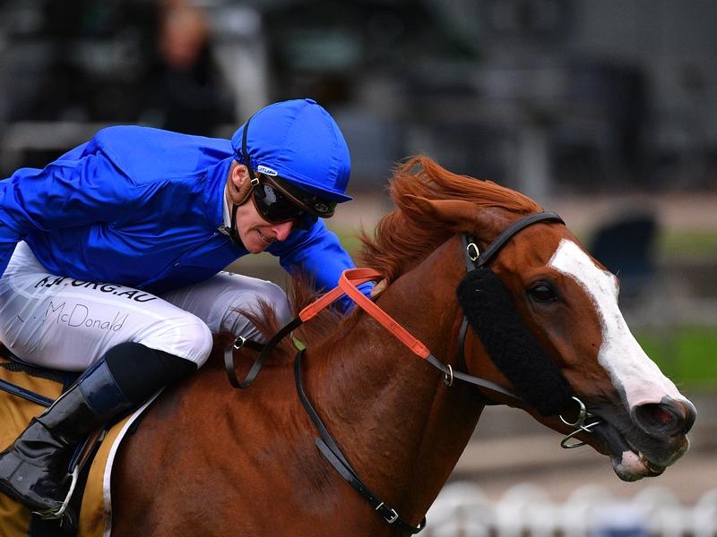Rosehill Cascadian | Just Horse Racing