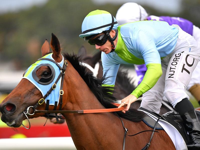 Rosehill Emancipation | Just Horse Racing