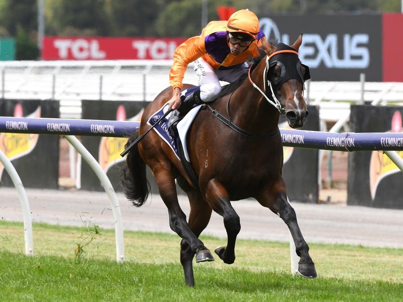 Rosehill Spend | Just Horse Racing