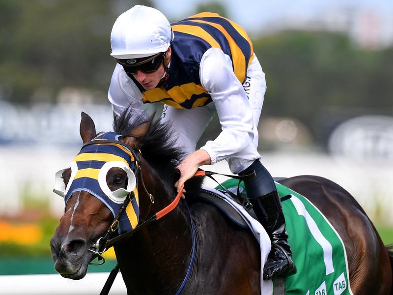 Rosehill Tulloch | Just Horse Racing