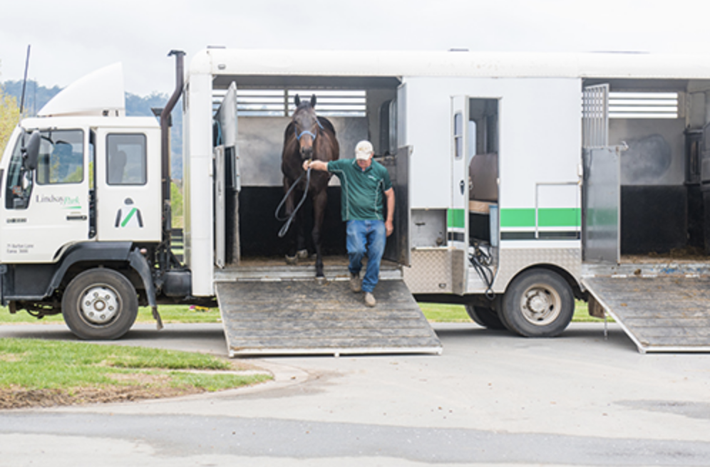 Horse Float | Just Horse Racing Horse Float