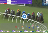 Star Kingdom Stakes results and replay - 2020