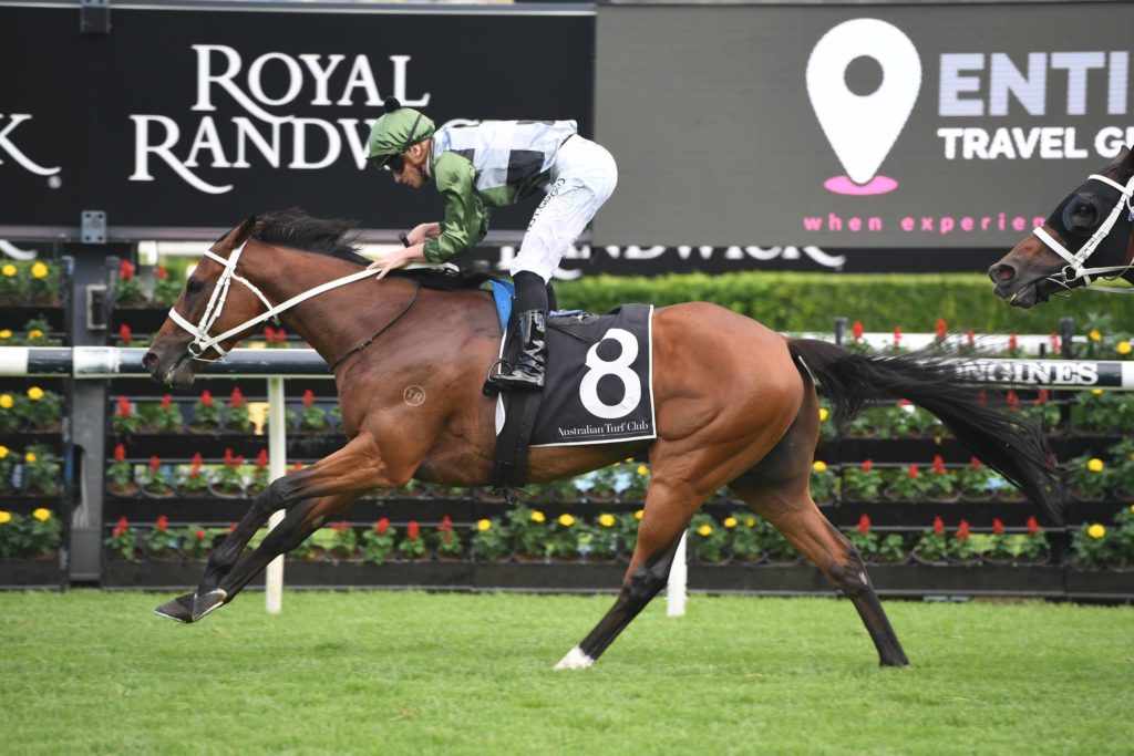 Shared Ambition 07032020 1702 | Just Horse Racing