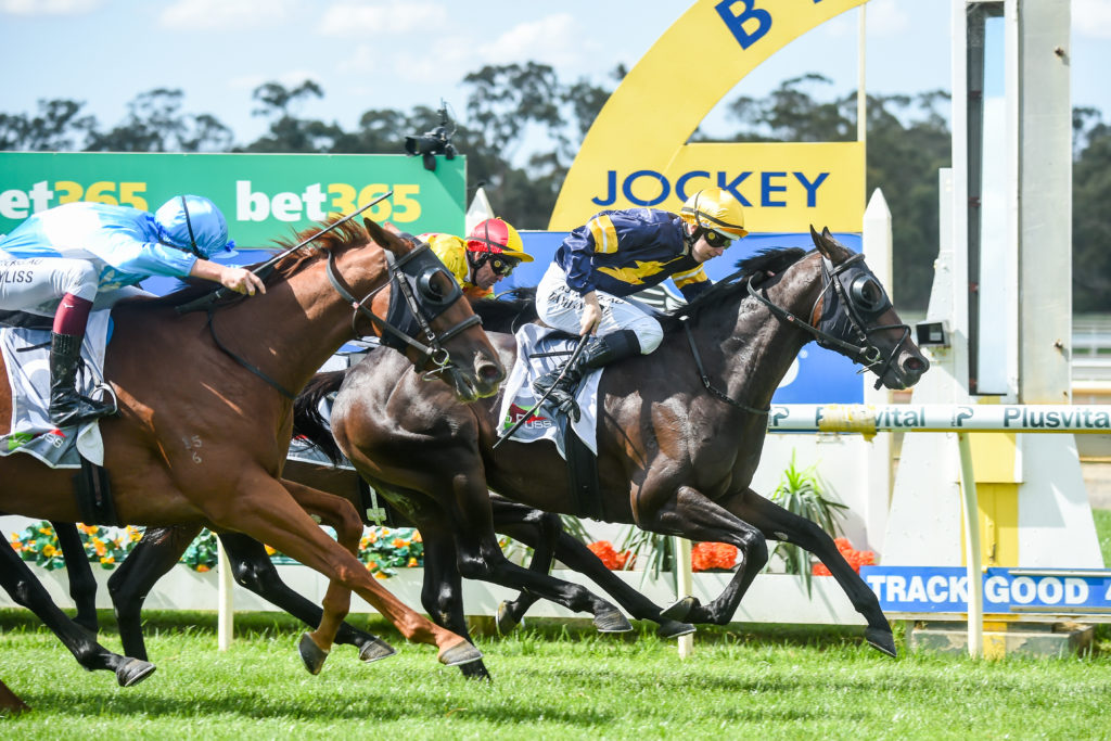 /r5/ | Just Horse Racing