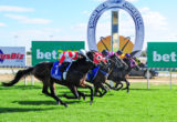 Swan Hill races