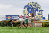 Terang Races