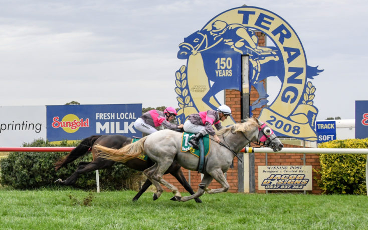 Terang Races