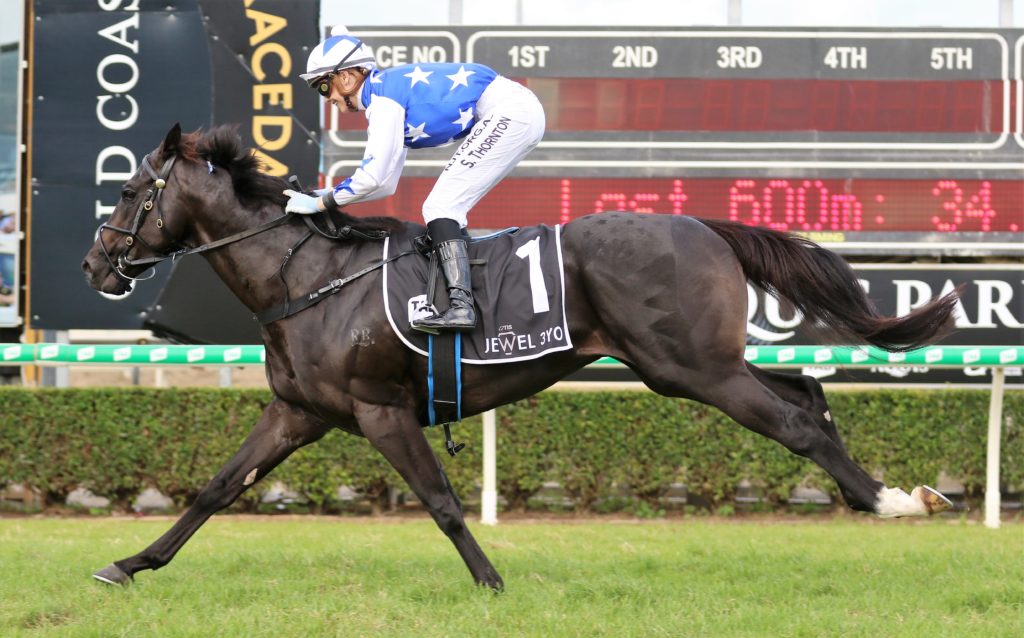 The Odyssey (3) | Just Horse Racing
