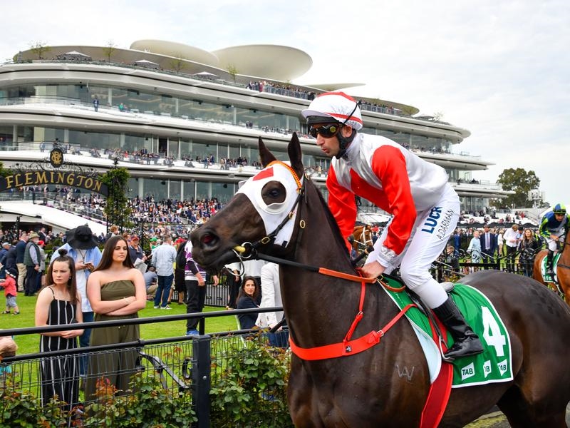 William Reid Field | Just Horse Racing