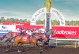 Alice Springs races
