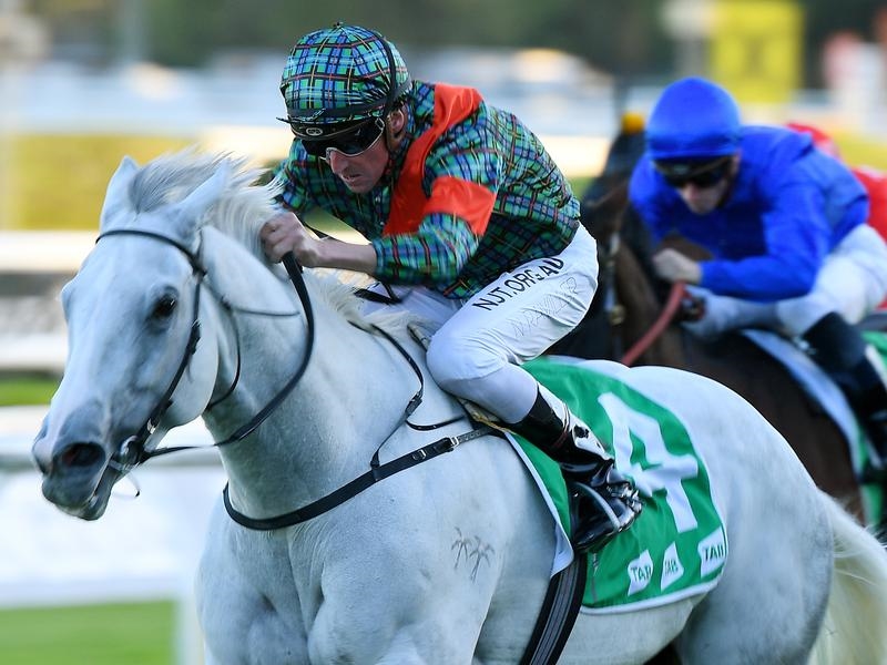 All Aged Preview | Just Horse Racing