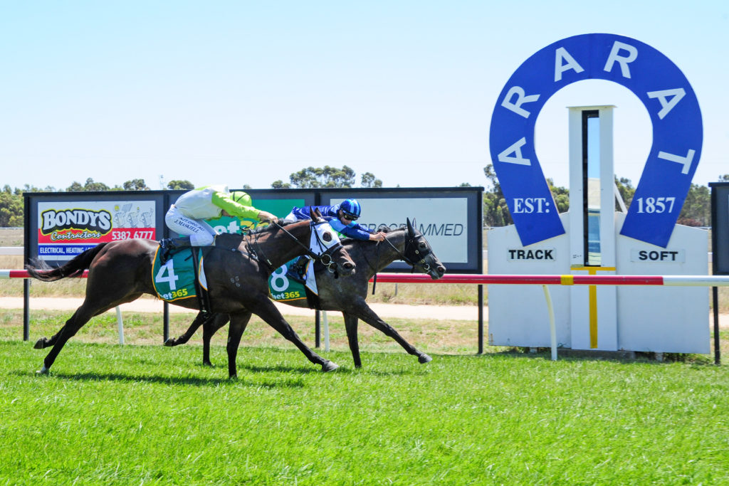 26/11/2024 Horse Racing Tips and Best Bets – Ararat