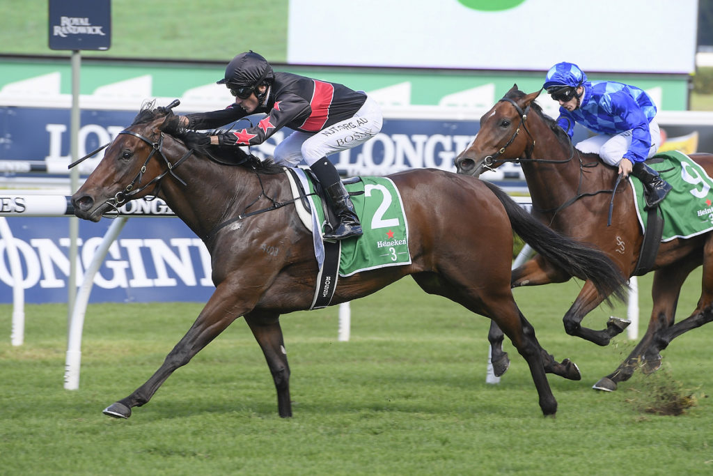 AWAY GAME,Z_4_RW_11042020__B020_MD54071 | Just Horse Racing