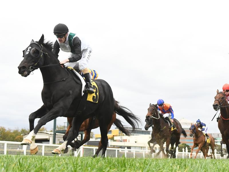 Caulfield Bon | Just Horse Racing