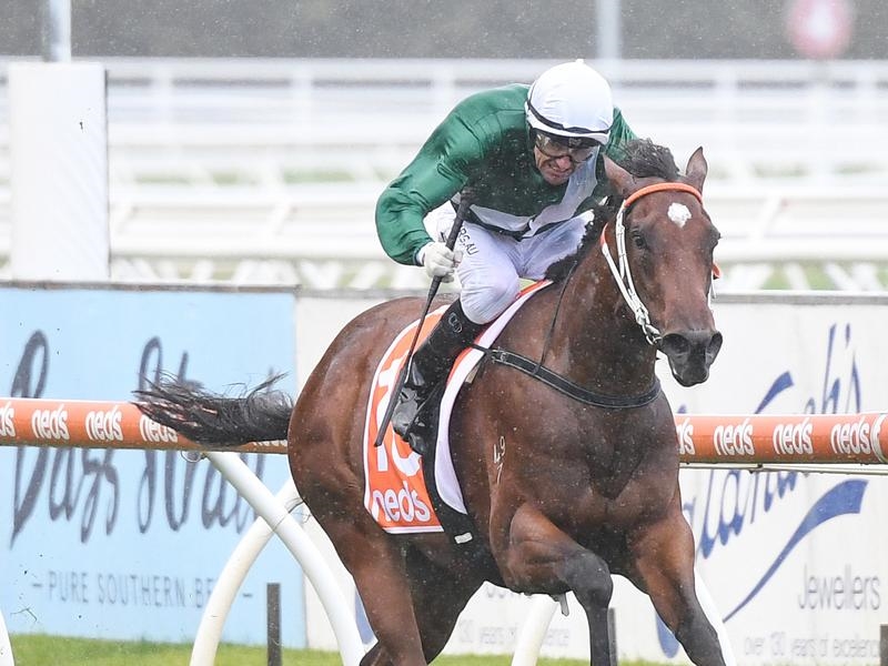 Caulfield Diala | Just Horse Racing