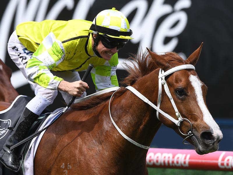 Caulfield Eduardo | Just Horse Racing