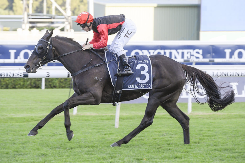 CON TE PARTIRO,Z_9_RW_11042020__B044_MD55530 | Just Horse Racing
