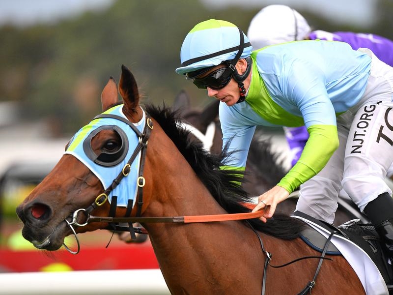 Coolmore Legacy Preview | Just Horse Racing