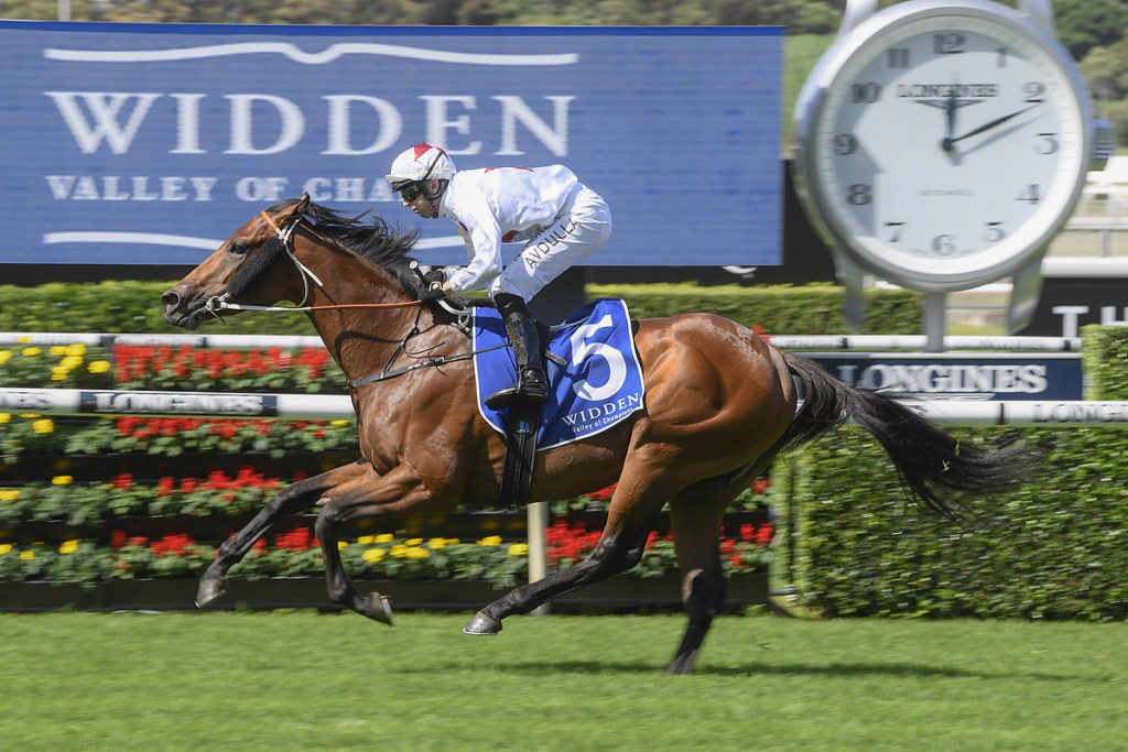 DOUBTLAND,Z_1_RW_04042020__B114_MD50734 | Just Horse Racing