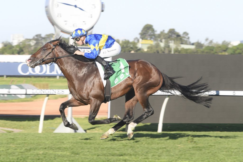 Dawn Passage 25042020 58514 | Just Horse Racing