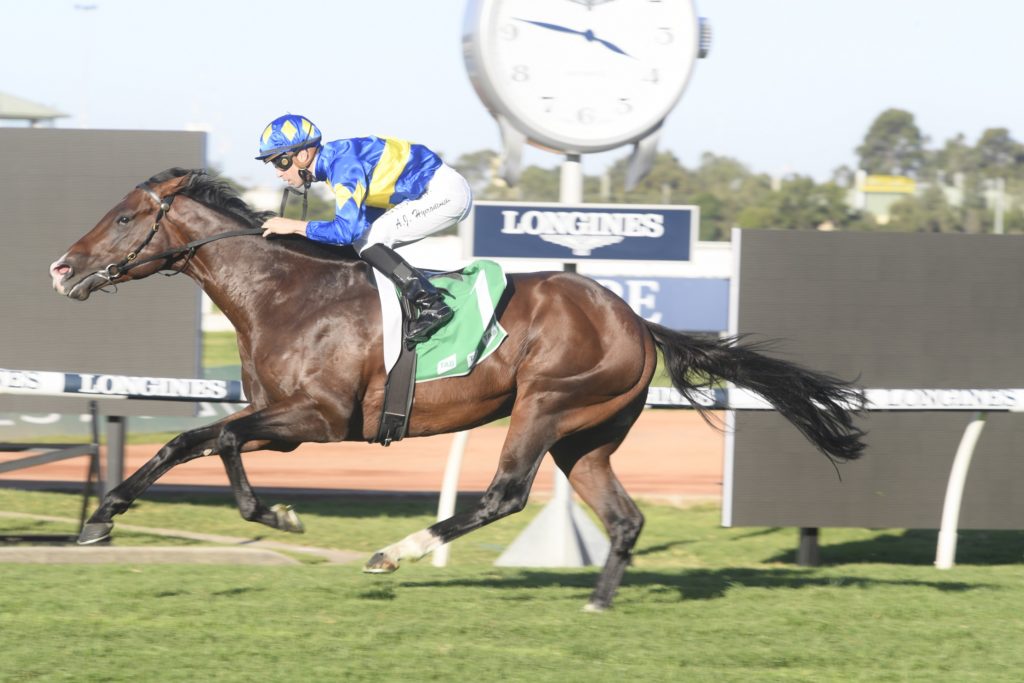 Dawn Passage 25042020 58515 | Just Horse Racing