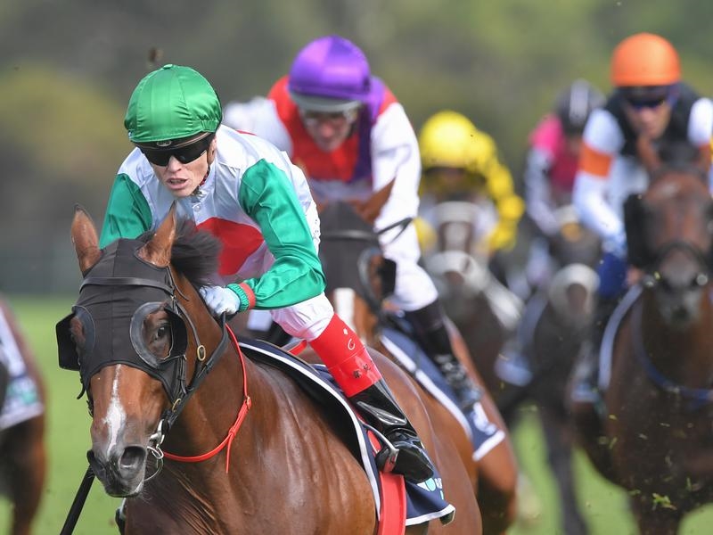 Derby Preview | Just Horse Racing