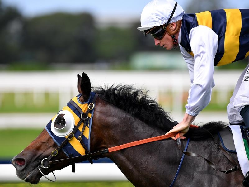 Derby Preview | Just Horse Racing
