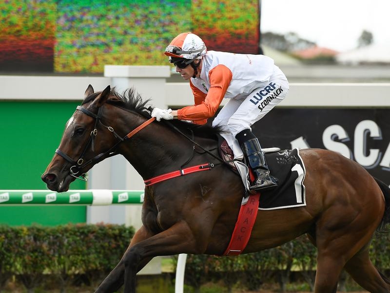 Doomben Munce | Just Horse Racing