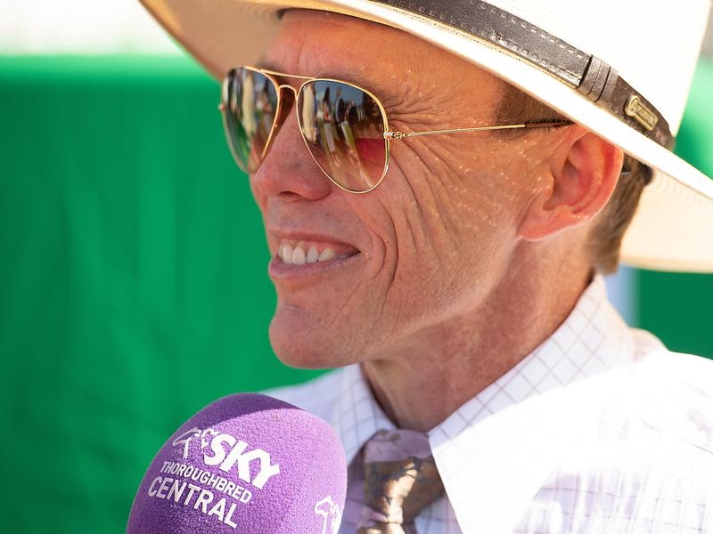 Doomben Papaya | Just Horse Racing
