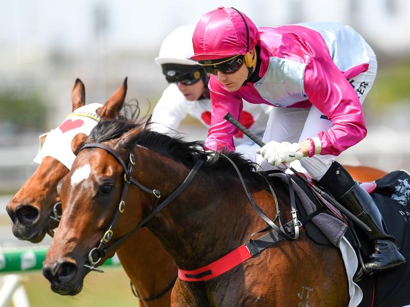 Doomben Preview | Just Horse Racing