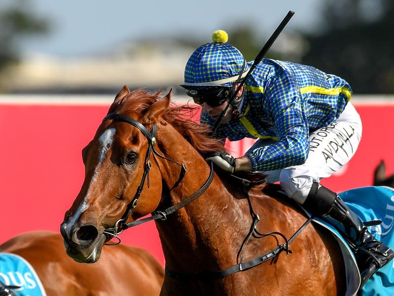 Doomben Preview | Just Horse Racing