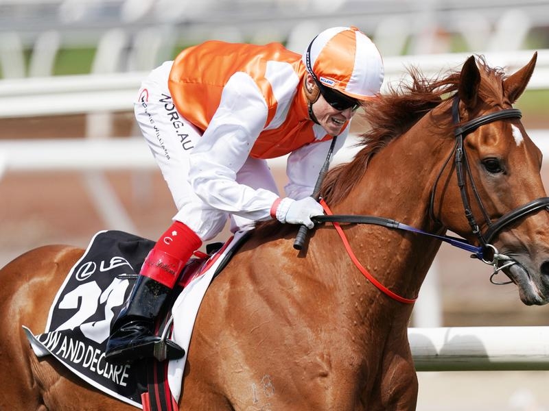 Flemington Declare | Just Horse Racing